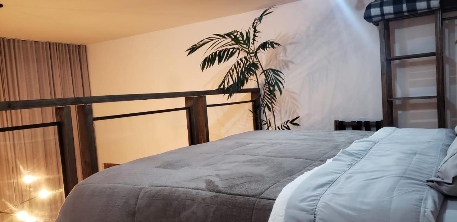 The Guest House Hostel Balneario Gaivota エクステリア 写真