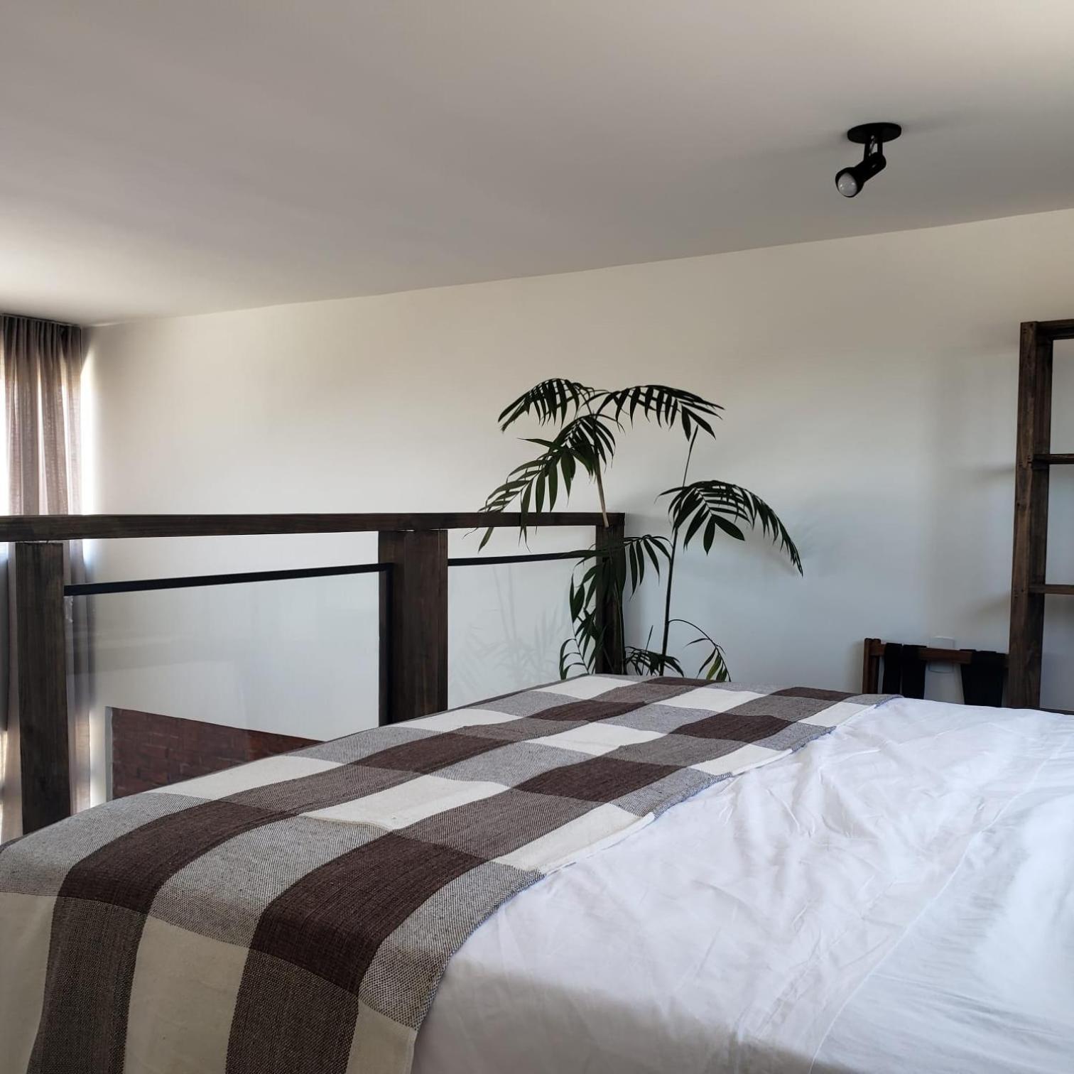 The Guest House Hostel Balneario Gaivota エクステリア 写真